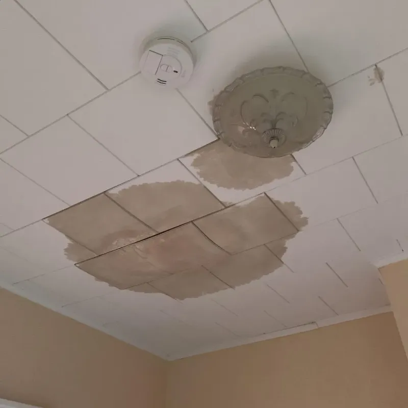 Ceiling Water Damage Repair in Lincoln County, ME