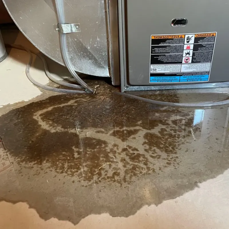 Pipe Burst and Leak Restoration in Lincoln County, ME