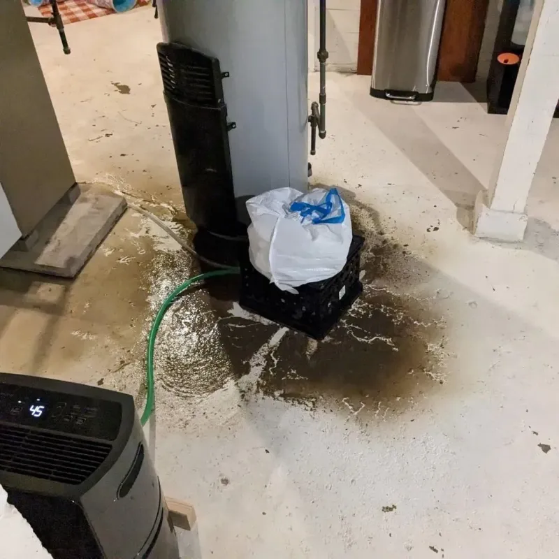 Sewage Backup Cleanup Service in Lincoln County, ME